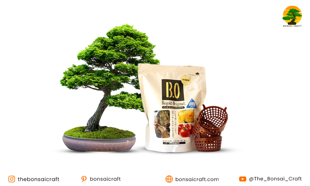 What is Bonsai Fertilizer?
