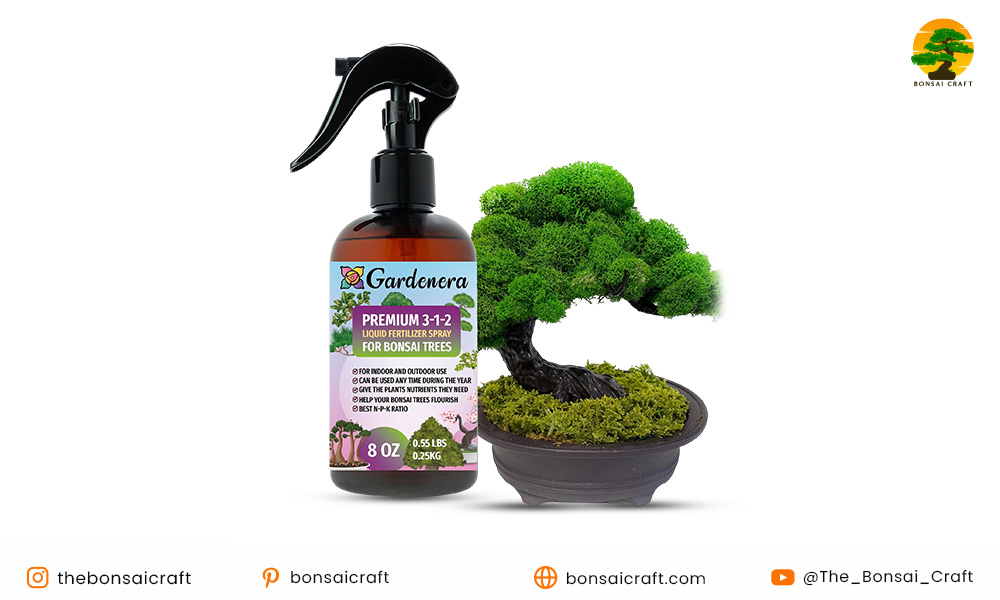 Liquid Fertilizer for Bonsai Trees