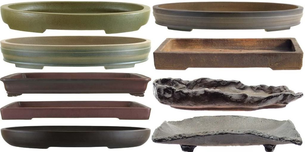 best pot for a bonsai tree