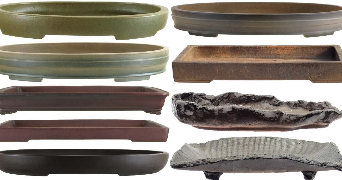 best pot for a bonsai tree