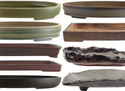 best pot for a bonsai tree