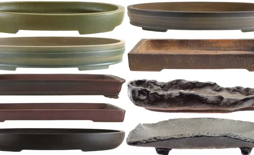 best pot for a bonsai tree