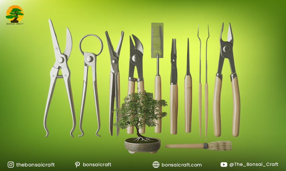 Types of Bonsai Scissors