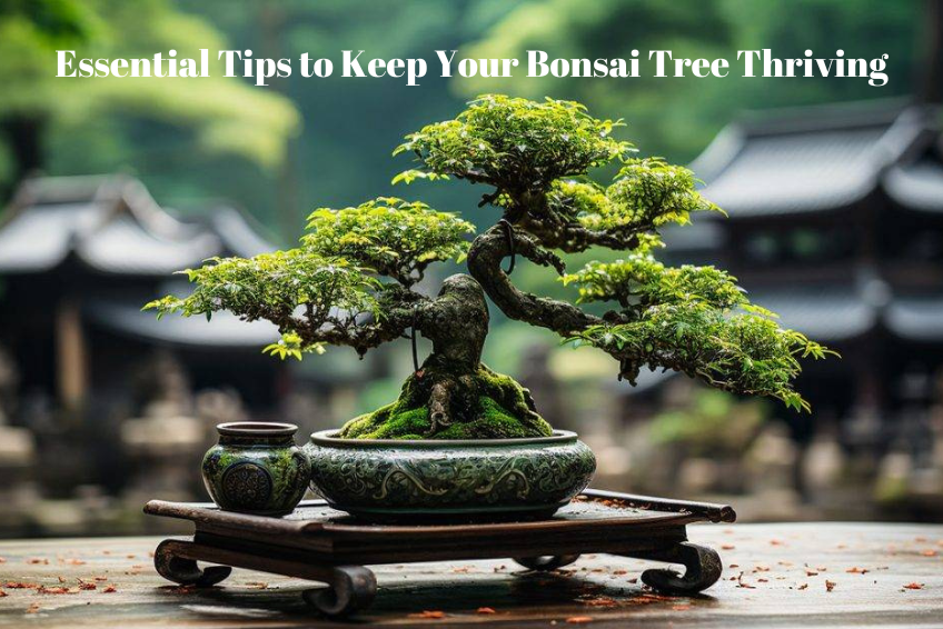 Essential Tips to Keep Your Bonsai Tree Thriving