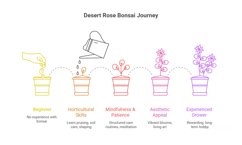 Benefits of Growing Desert Rose Bonsai
