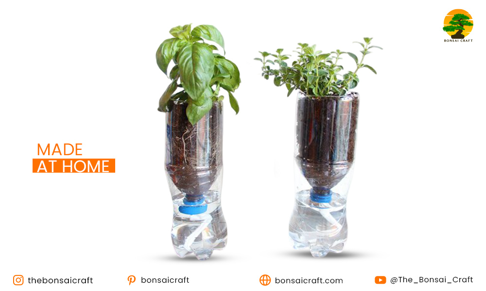 How to Make a Self Watering Plant