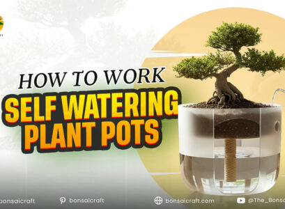 How to Work Self Watering Plant Pots