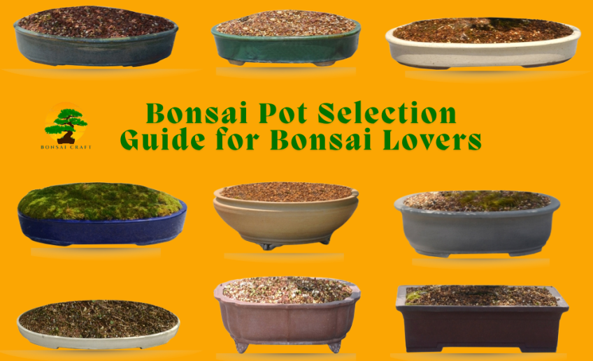 Bonsai Pot