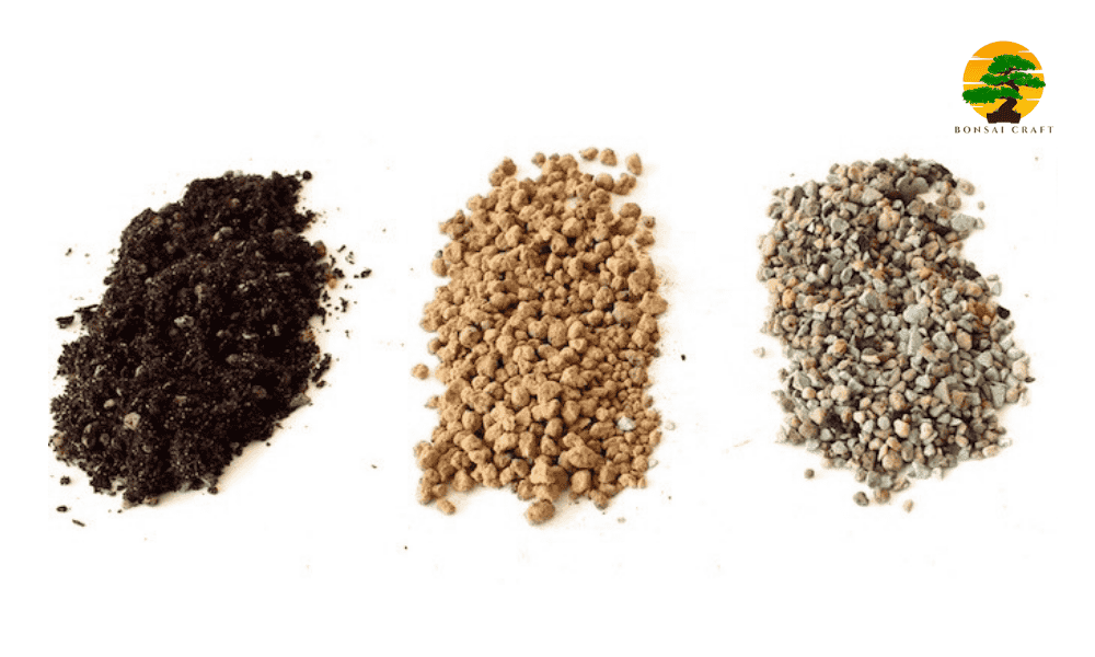 Bonsai tree Soil