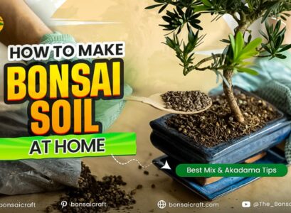 How to Make Bonsai Soil at Home: Best Mix & Akadama Tips