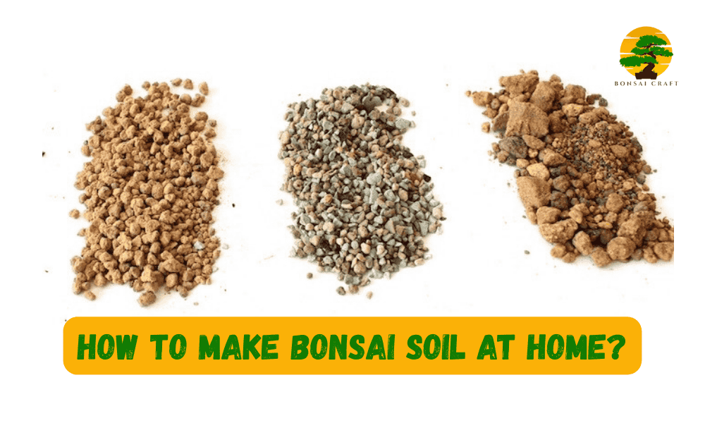Bonsai Soil