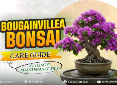 Bougainvillea Bonsai Care Guide: Styling & Maintenance Tips