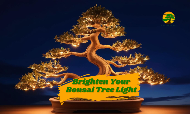 bonsai tree light