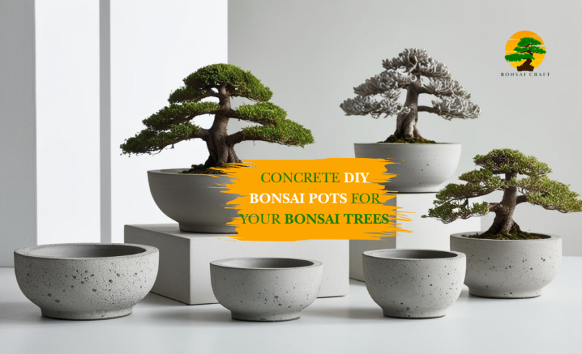 DIY Bonsai pots