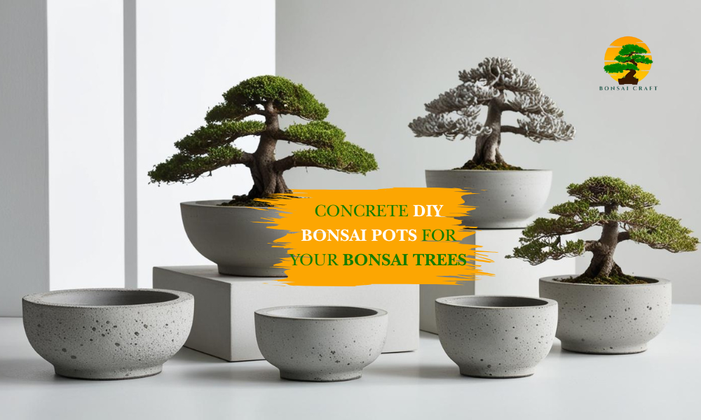 DIY Bonsai pots