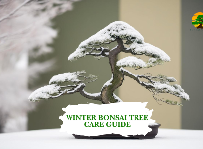 winter bonsai