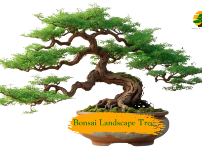 Bonsai Landscape