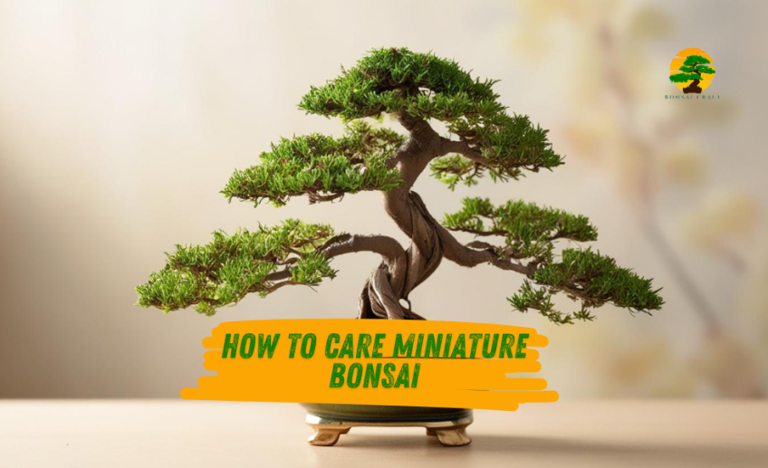 Miniature Bonsai