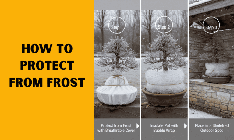 Plant Tent Outdoor Winter Shrub Cover Green Frost Tents