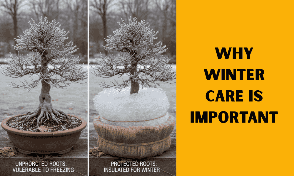 Why Winter Care is Important
