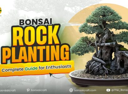 Bonsai Rock Planting Complete Guide for Enthusiasts