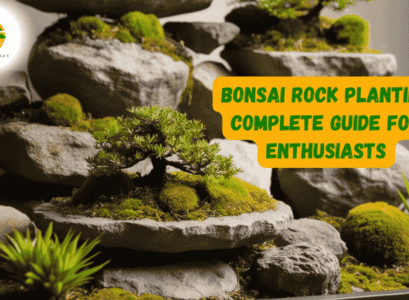 Bonsai Rock Planting