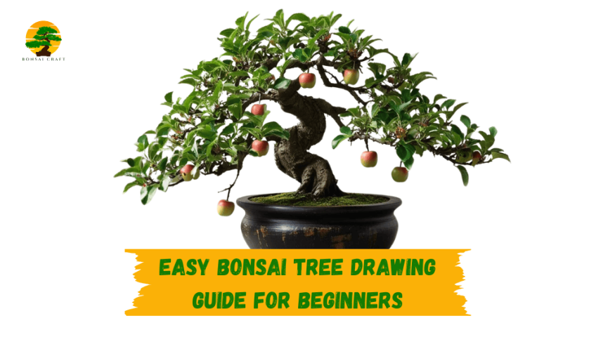 bonsai apple tree