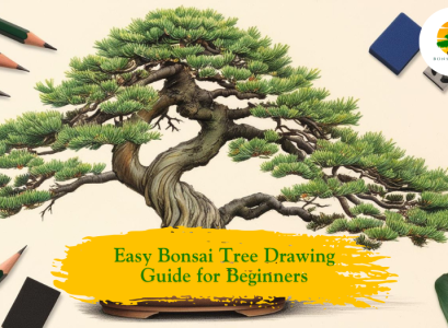 bonsai tree drawing