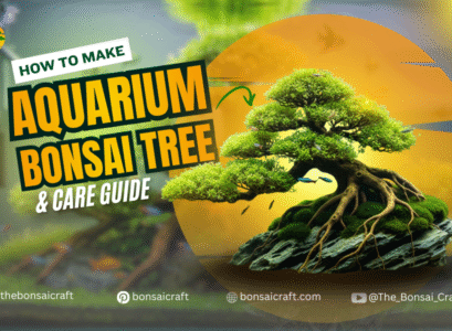 Aquarium bonsai tree made from driftwood and aquatic plants, showing setup and care inside a fish tank