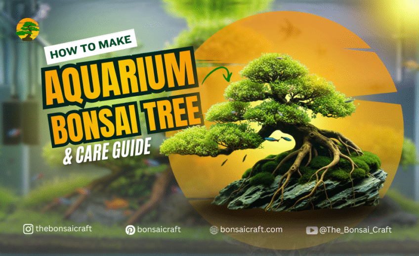 Aquarium bonsai tree made from driftwood and aquatic plants, showing setup and care inside a fish tank