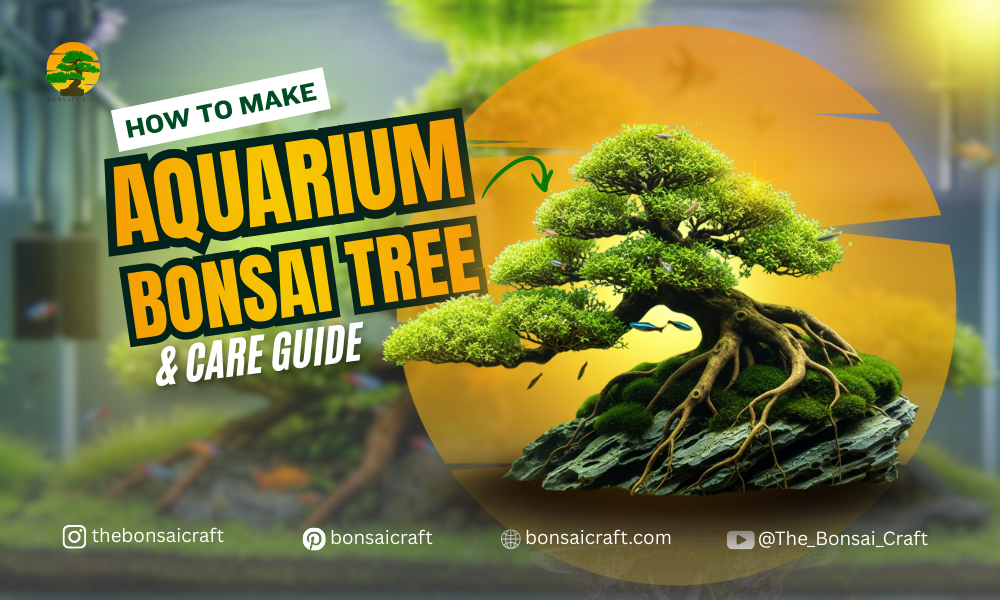 Aquarium bonsai tree made from driftwood and aquatic plants, showing setup and care inside a fish tank