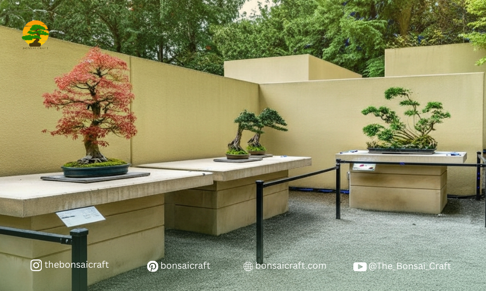 Visitors walking through the Pacific Bonsai Museum grounds, viewing curated bonsai trees from around the world