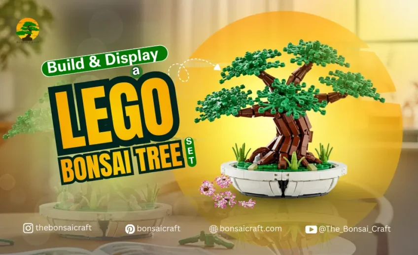 Build & Display a LEGO Bonsai Tree Set