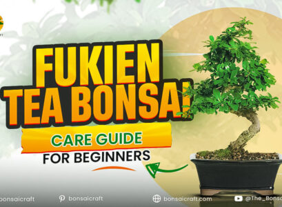 Fukien Tea Bonsai (Carmona microphylla): Care Guide for Beginners