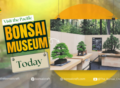 Exterior view of the Pacific Bonsai Museum surrounded by landscaped gardens and outdoor bonsai displays