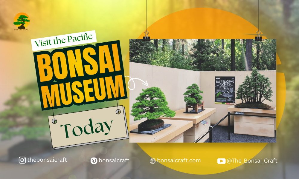 Exterior view of the Pacific Bonsai Museum surrounded by landscaped gardens and outdoor bonsai displays