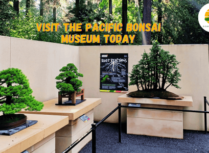 Pacific Bonsai Museum