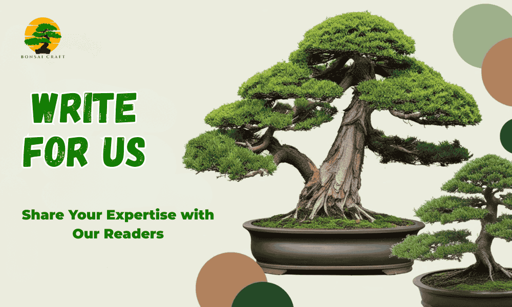 Write for Us