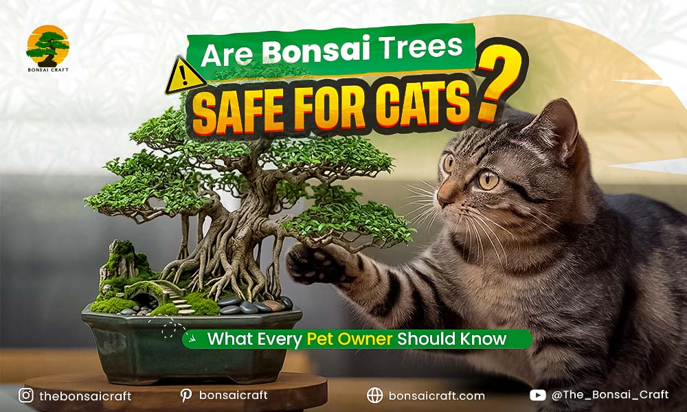 Are Bonsai Trees Safe for Cats? What Every Pet Owner Should Know