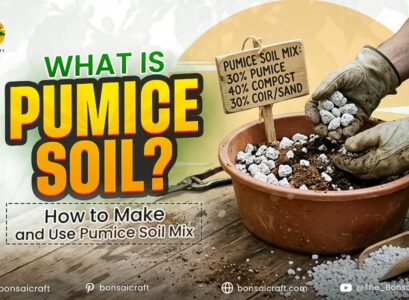 What Is Pumice Soil? How to Make and Use Pumice Soil Mix