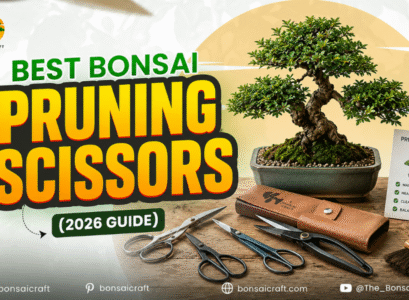 Best Bonsai Pruning Scissors (2026 Guide)