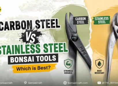 Carbon Steel vs Stainless Steel Bonsai Tools: Which is Best?