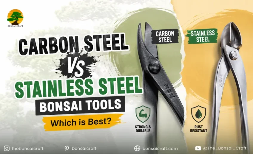 Carbon Steel vs Stainless Steel Bonsai Tools: Which is Best?