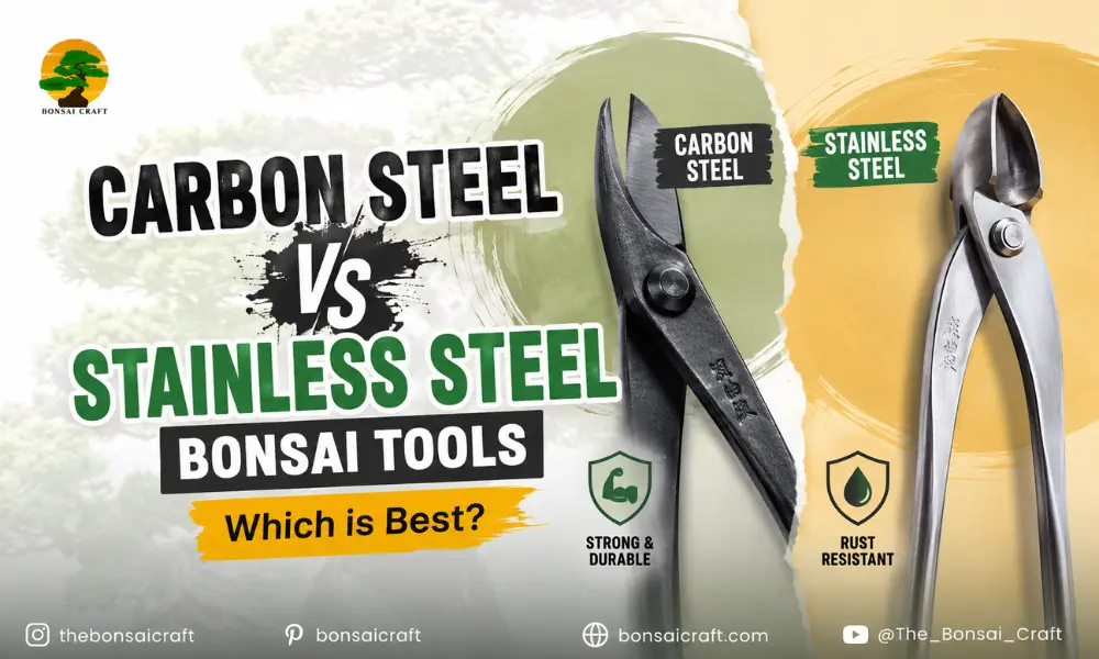 Carbon Steel vs Stainless Steel Bonsai Tools: Which is Best?